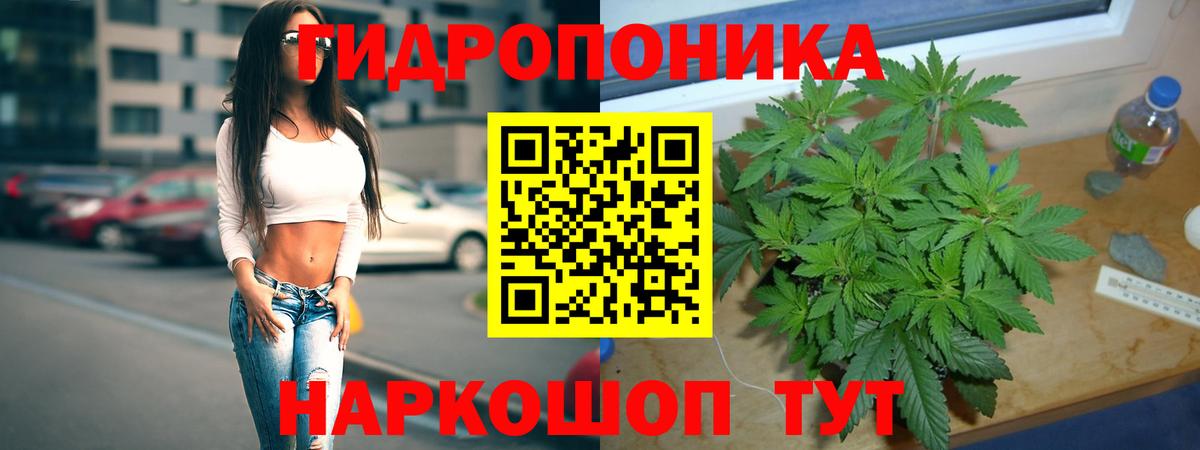 МАРИХУАНА конопля Тавда